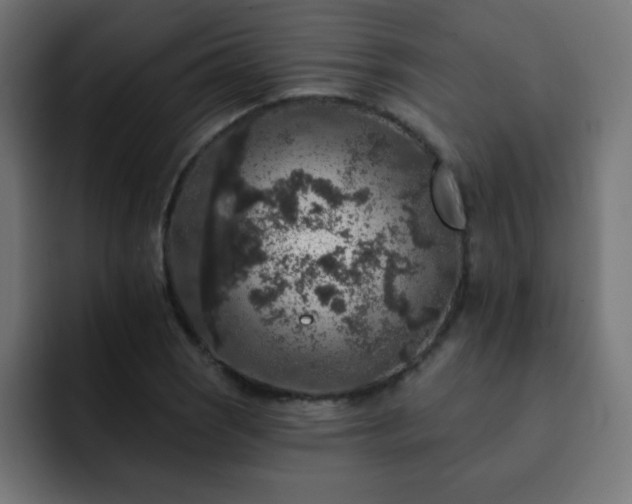 X0000093131121200710031347