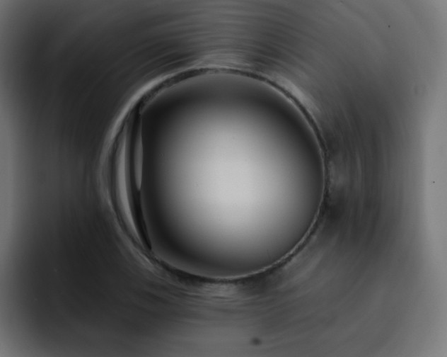 X0000093131123200710031347