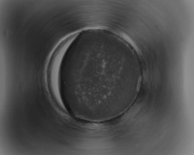 X0000093131124200710031347
