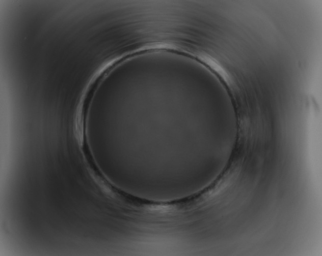 X0000093131127200710031347