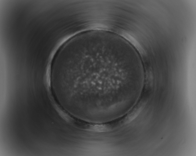 X0000093131128200710031347