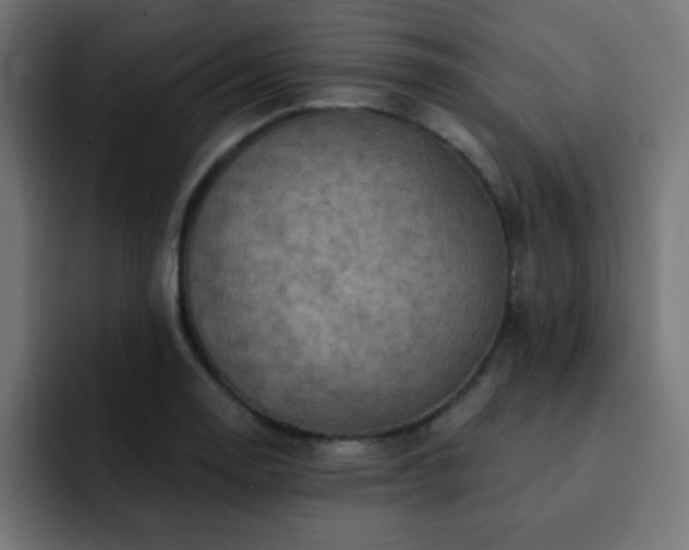 X0000093131130200710031347