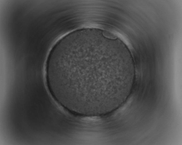 X0000093131133200710031347
