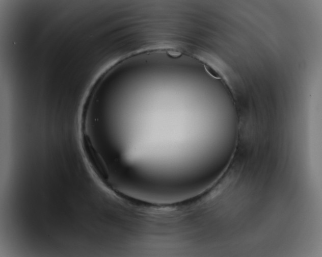 X0000093131135200710031347