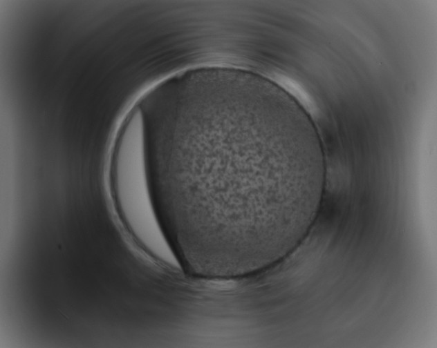 X0000093131136200710031347