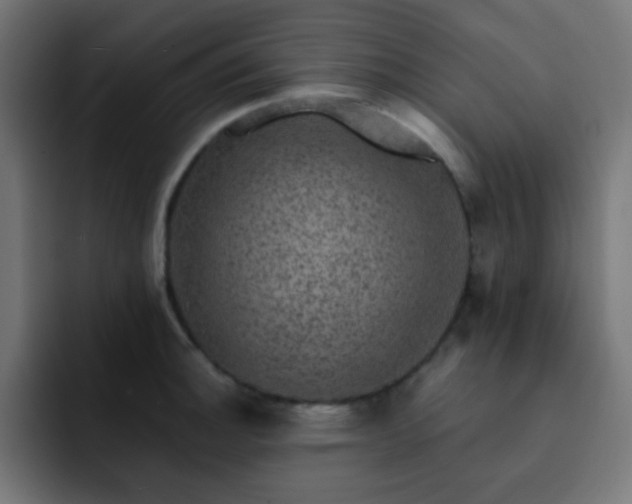 X0000093131140200710031347
