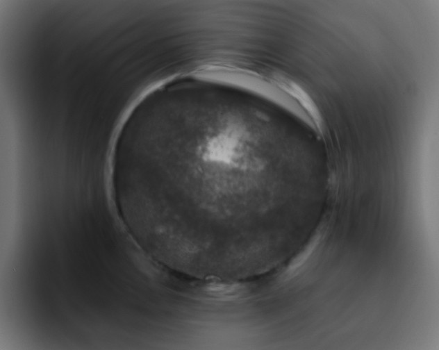 X0000093131146200710031347