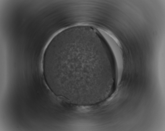 X0000093131148200710031347