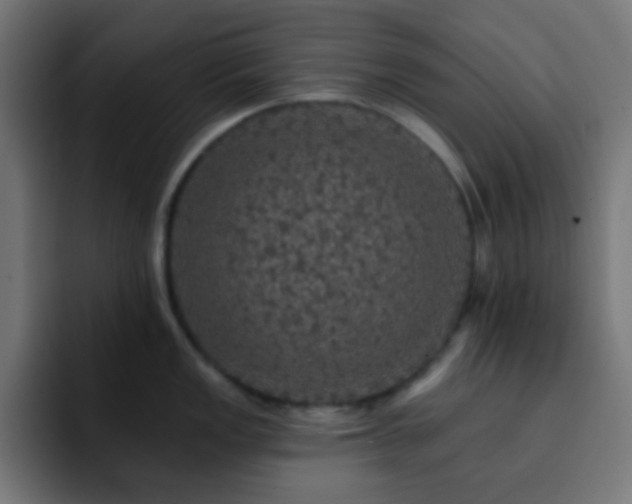 X0000093131149200710031347