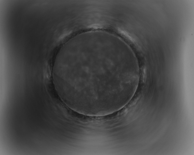 X0000093131158200710031346