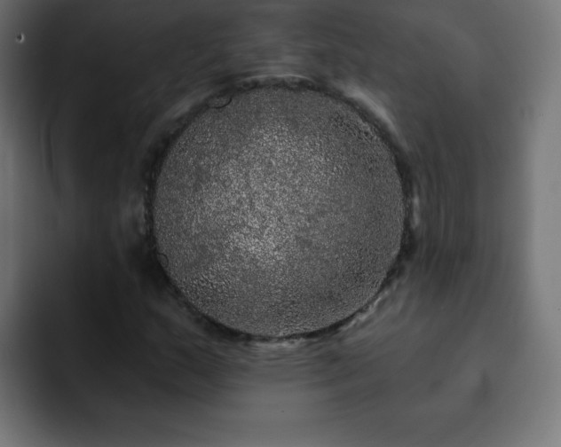 X0000093131159200710031346