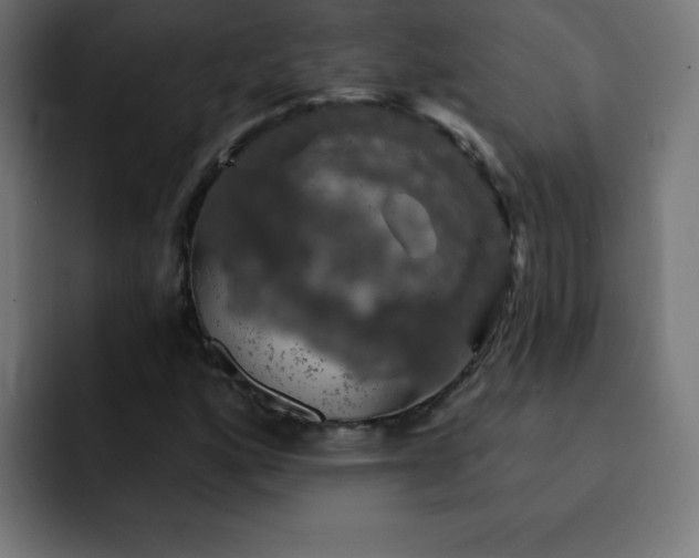 X0000093131160200710031346