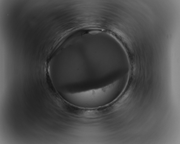 X0000093131161200710031346