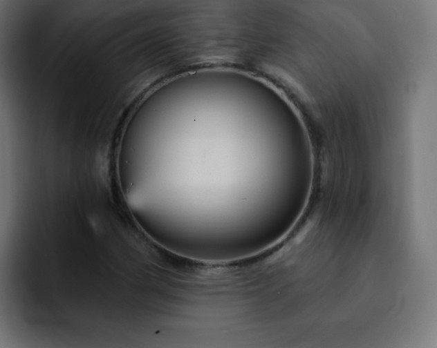 X0000093131162200710031346