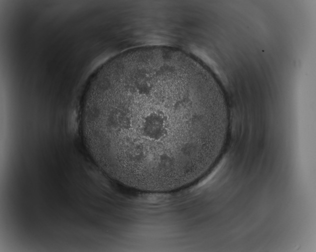 X0000093131163200710031346