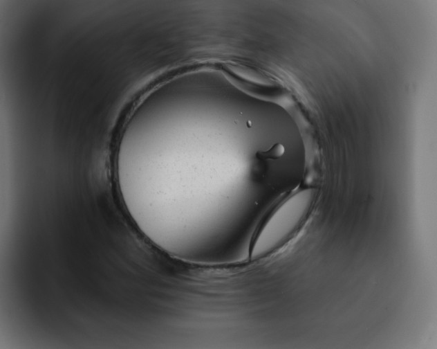 X0000093131164200710031346