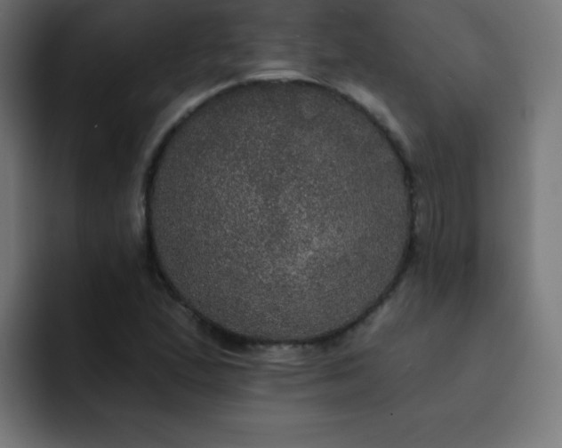 X0000093131167200710031346