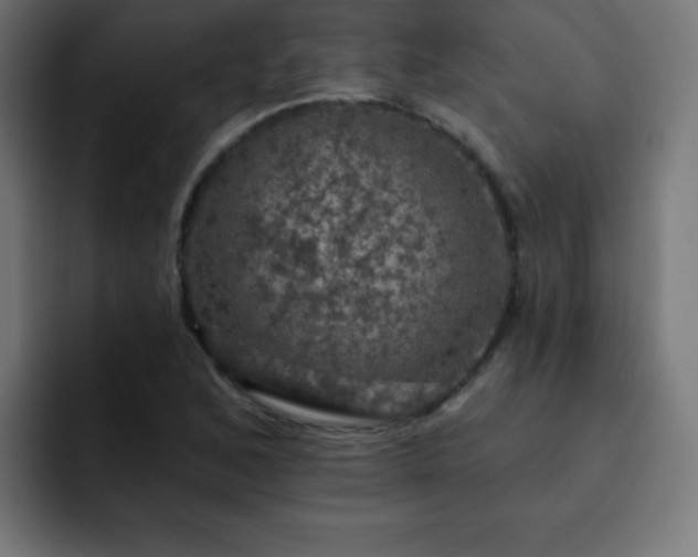 X0000093131168200710031346