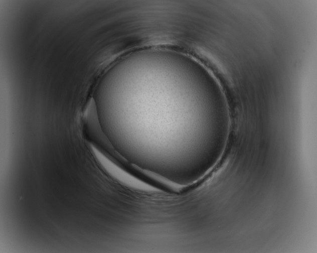X0000093131169200710031346