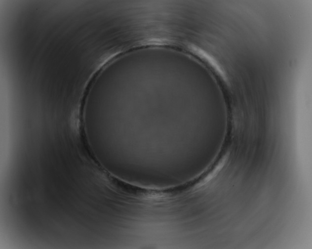 X0000093131170200710031346