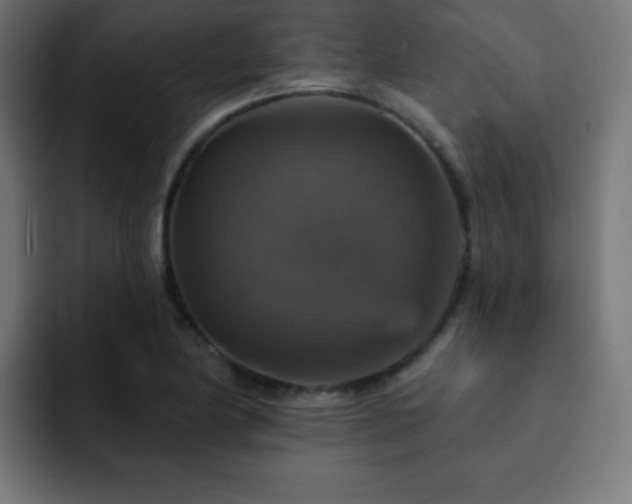 X0000093131174200710031346