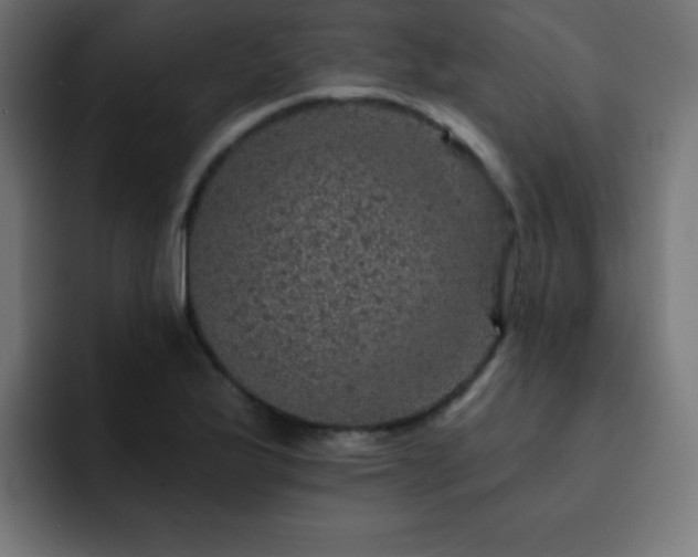 X0000093131175200710031346