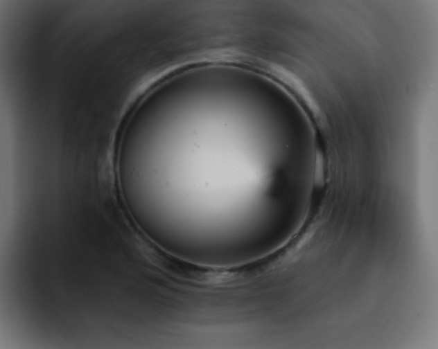 X0000093131176200710031346