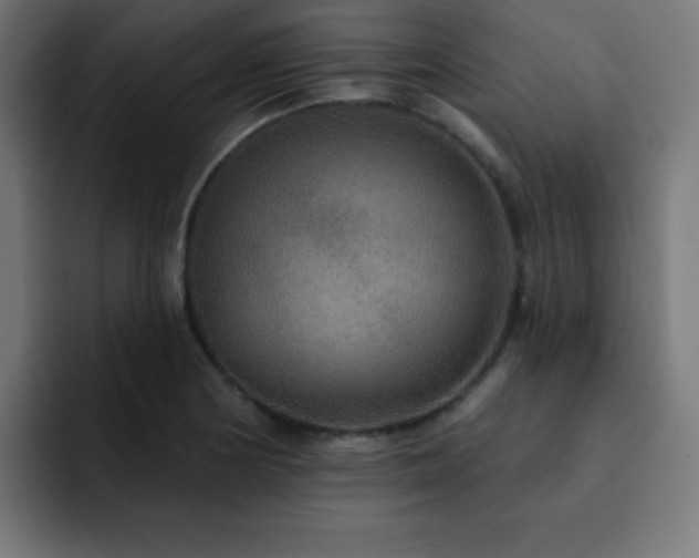 X0000093131178200710031346