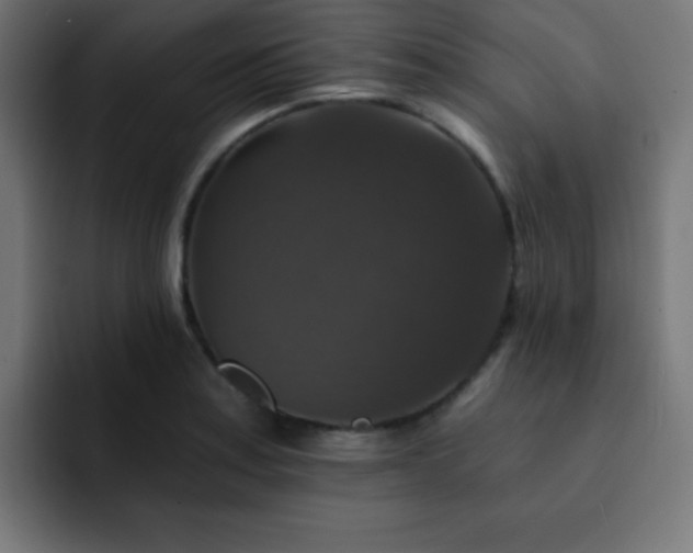 X0000093131179200710031346