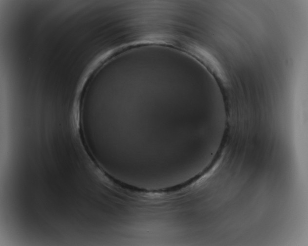 X0000093131180200710031346
