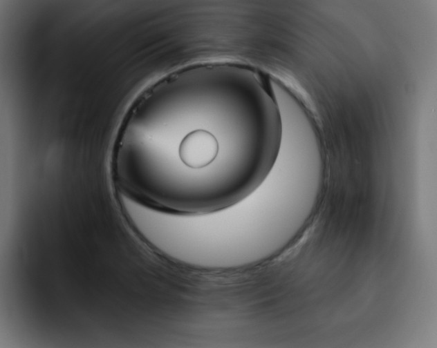 X0000093131181200710031346