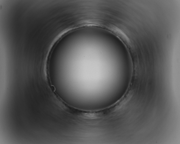 X0000093131182200710031346