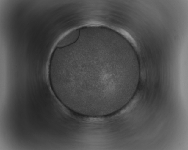 X0000093131183200710031346