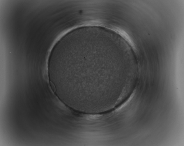 X0000093131184200710031346