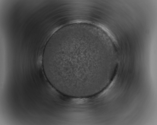 X0000093131185200710031346