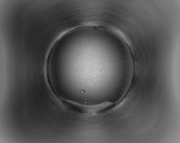 X0000093131187200710031346