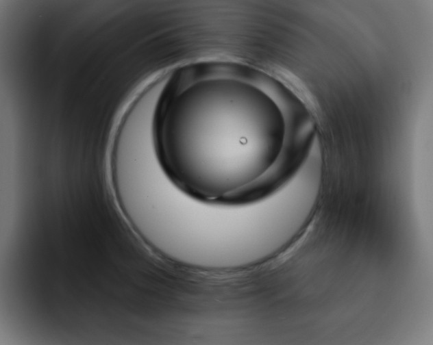 X0000093131188200710031346
