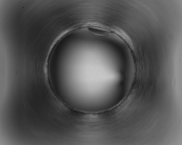 X0000093131190200710031346
