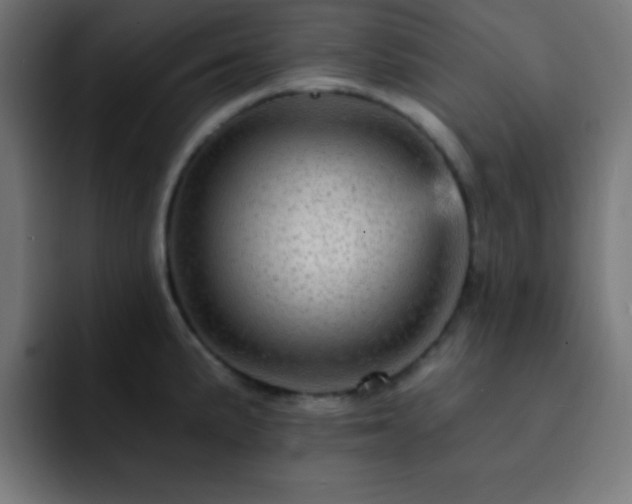 X0000093131191200710031346