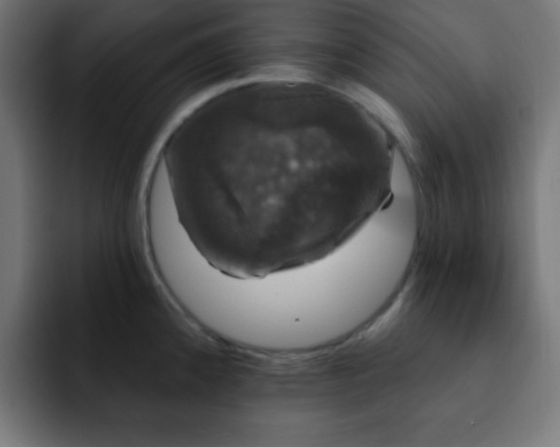 X0000093131192200710031346