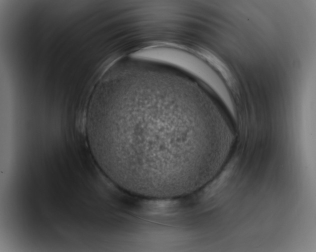 X0000093131193200710031346