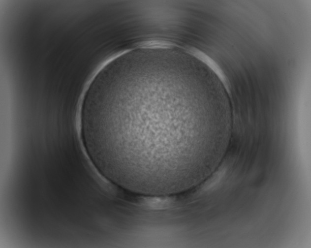 X0000093131195200710031346