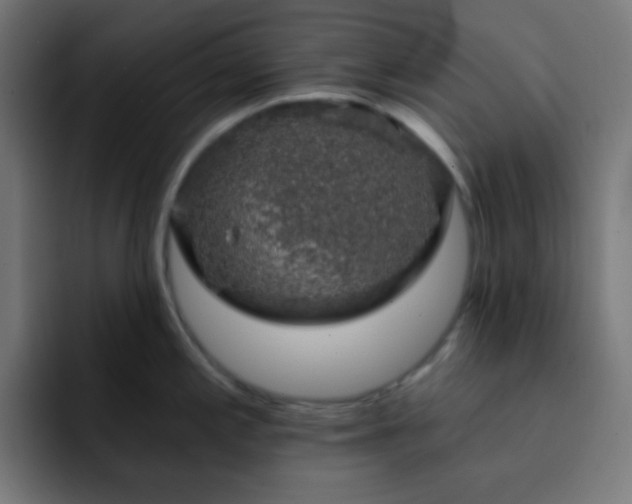 X0000093131197200710031346