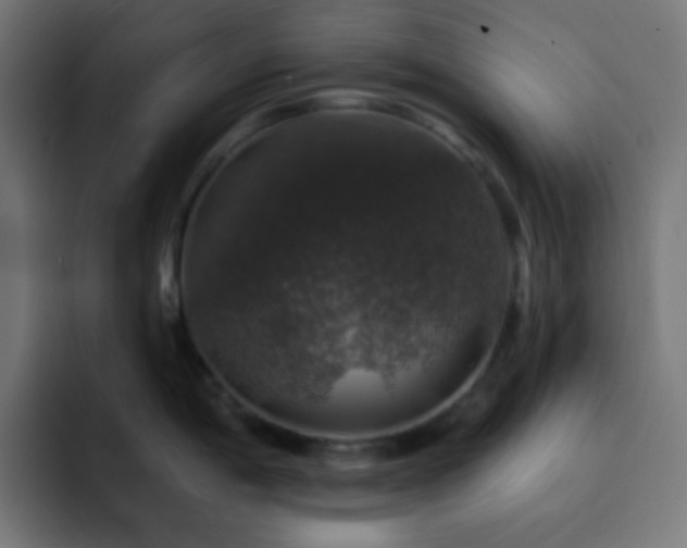 X0000093131198200710031346
