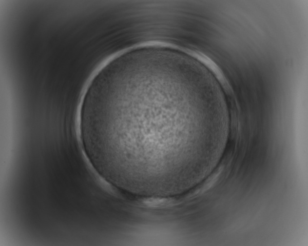 X0000093131199200710031346