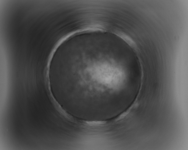 X0000093131200200710031346