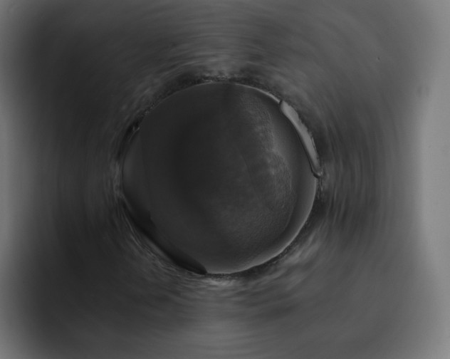 X0000093131202200710031345