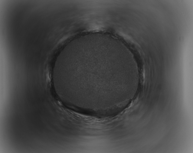 X0000093131206200710031346