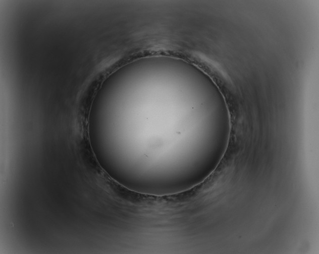 X0000093131207200710031346