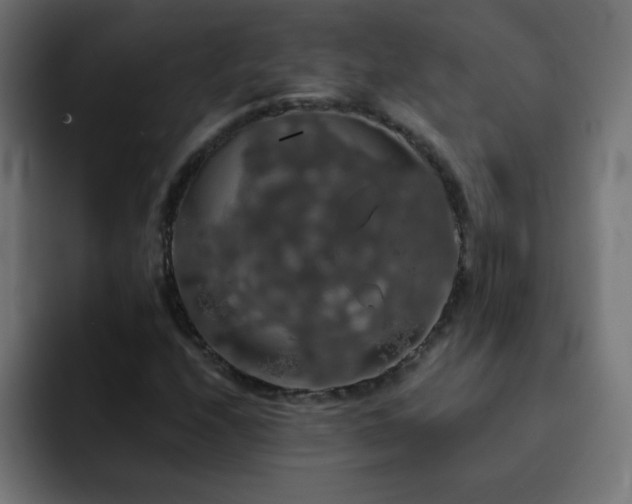 X0000093131208200710031346